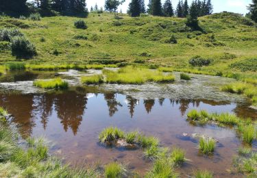 Tour Wandern Crêts-en-Belledonne - cret du poulet 2019 - Photo