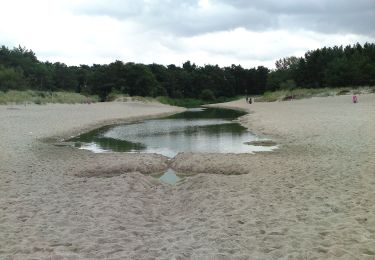 Trail On foot  - Historyczny Szlak Pobrzeża Rewalskiego - Photo