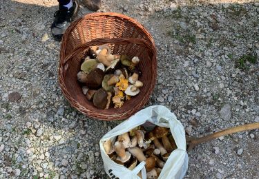 Trail Walking Gabre - Champignons 26/08 - Photo