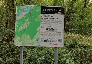 Trail Walking Wanze - WANZE _ ( Huy ) _ LG _ Marche Fédérale  - Photo