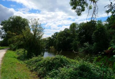 Tour Wandern Saint-Pierre-des-Corps - Saint-Pierre-des-Corps - le Cher GR41 Montlouis-sur-Loire - 19km 120m 4h00 - 2007 02 04 - Photo