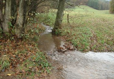 Excursión A pie Kirchzell - Rundwanderweg Watterbach 2 - Photo