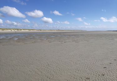 Randonnée Marche Quend - Picardie 2020 Quent plage  vers la baie de Somme et les bouchots - Photo