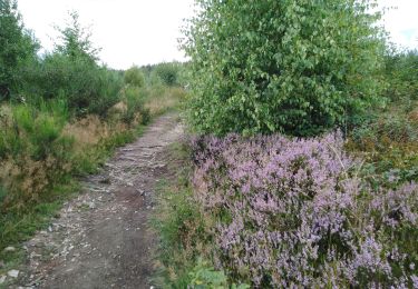 Tocht Stappen Waimes - peak triple et cascade bayehon - Photo