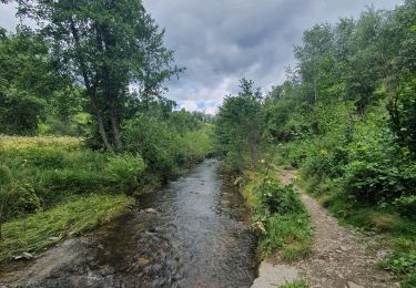 Tocht Stappen Houffalize - rando wibrin 29/07/2021 - Photo