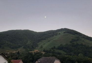 Trail Walking Urdos - Borce - Sentier de la traverse - Photo