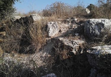 Trail On foot Mate Yehuda Regional Council - Midras ruins - Masua observatory - Photo