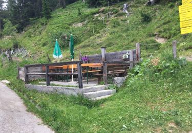 Percorso A piedi Ramsau am Dachstein - Jungfrauensteig - Photo