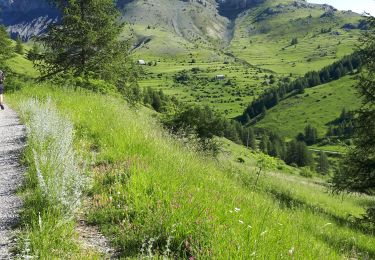 Randonnée Marche Beuil - Mont Demant Par Col de l'Espaul et col des Moulinés, Valberg - Photo