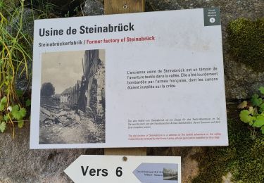 Randonnée Marche Metzeral - Sentier historique - Mittlach - Fischboedle - Photo