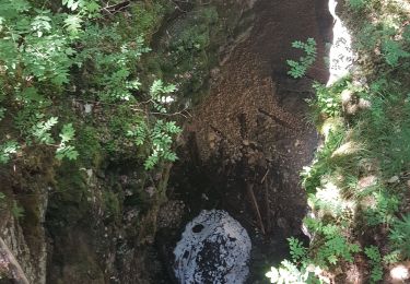 Excursión Senderismo Aillon-le-Jeune - aillon le keune - Photo