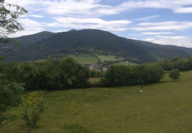 Tour Wandern Pierre-Châtel - Pierre percée 2019 - Photo