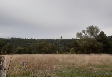 Tocht Stappen Kelmis - kelmis  14km - Photo