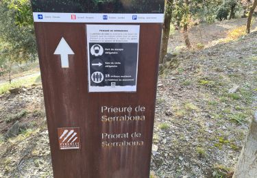 Trail Walking Boule-d'Amont - Serrabonne autour du prieuré  - Photo