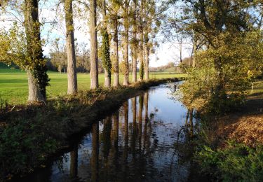 Randonnée Marche Dalhem - dalhem petit tour  - Photo