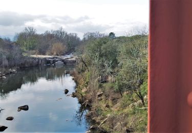 Tour Wandern Vidauban - Vidauban cascade et pont de fer de l'Aille - Photo