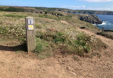 Trail Walking Cléden-Cap-Sizun - Pointe du Van - Photo