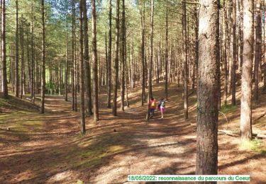 Trail Walking Merlimont - 8k-ParcoursDuCoeur2022 - Photo