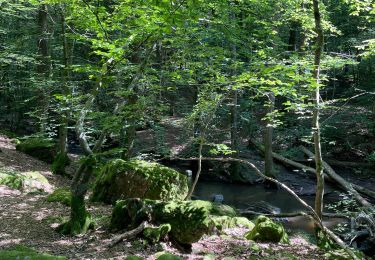 Excursión Senderismo Durbuy - Aisne - Photo