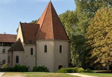 Tour Wandern Metz - Metz Plan d’eau  - Photo