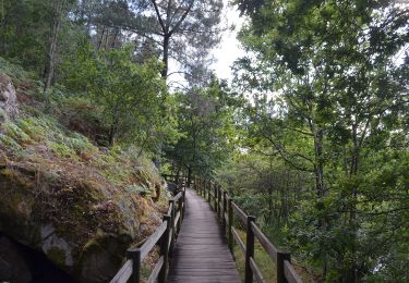 Tour Zu Fuß Arbo - Sendeiro da Moura - Photo