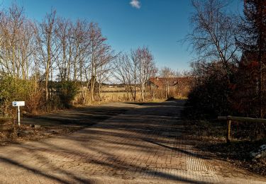 Trail On foot Texel - Natuurpad Alloo - Photo