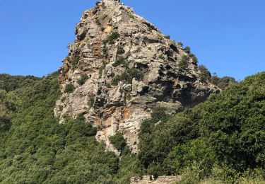 Excursión Senderismo Pino - Randonnée Cap Corse  - Photo
