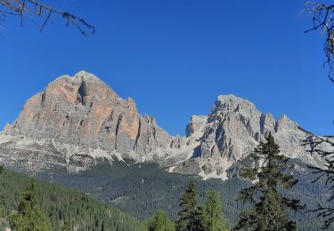 Excursión Senderismo Cortina d'Ampezzo - Tofana di Rozes et refuge Giussani  - Photo