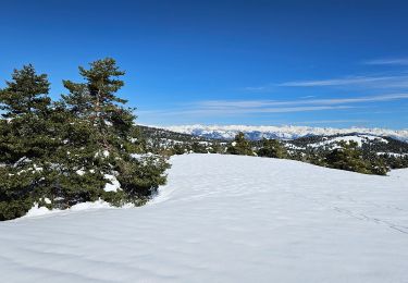 Randonnée Ski de fond Gréolières - Greolière  les neiges Chalet du fondeur - Photo
