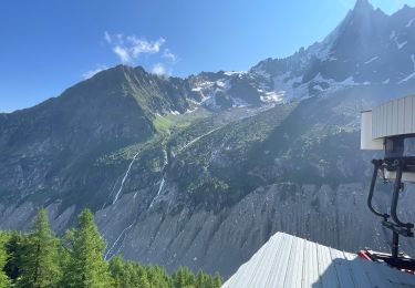 Tocht Stappen Chamonix-Mont-Blanc - Chamonix : Montenvers-Aiguille du Midi - Photo