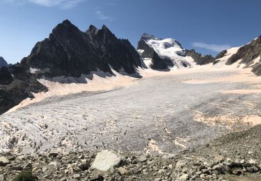Randonnée Marche Vallouise-Pelvoux - Glacier blanc - Photo