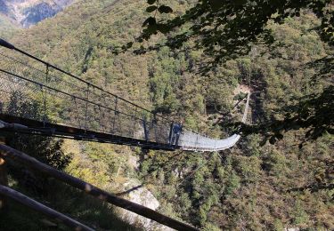 Trail On foot Bellinzona - San Bernardo-San Defendente - Photo