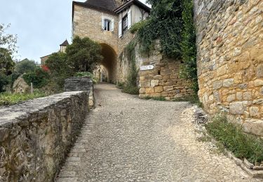 Excursión Senderismo Castelnaud-la-Chapelle - Périgord j2 Castelnaud - Photo