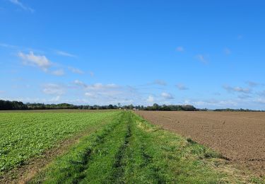 Tocht Stappen Fernelmont - A la découverte de Fernelmont 🥾 - Photo