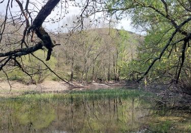 Randonnée Marche Souspierre - Souspierre: Serre Forillon 9km - Photo