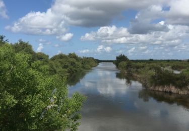 Tour Wandern Audenge - Boucle Port d’Audenge - Photo