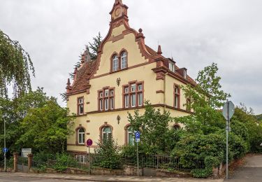 Tocht Te voet Landstuhl - Rundwanderweg Landstuhl L2 - Photo