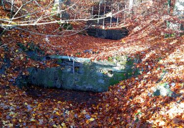 Trail On foot Urdorf - Ober-Urdorf - Reppischhof - Photo