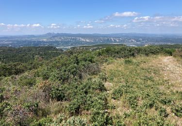 Tocht Trail Cheval-Blanc - Campanette-TrouduRat-Cantian(17K 570D+) - Photo