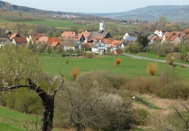 Tocht Te voet Pretzfeld - Rundweg Wannbach - Wolkenstein - Photo