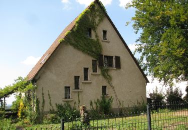 Percorso A piedi Alsbach-Hähnlein - Rundwanderweg Alsbach-Hähnlein Sperbergrund 6: Hasselsbachtal-Weg - Photo