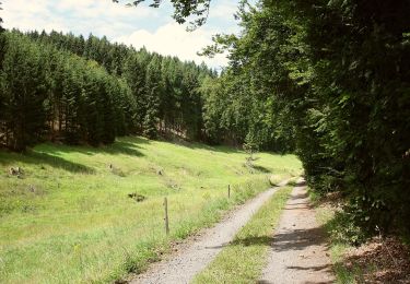 Tour Zu Fuß Friedrichroda - Heuberghaus (Naturlehrpfad) - Photo