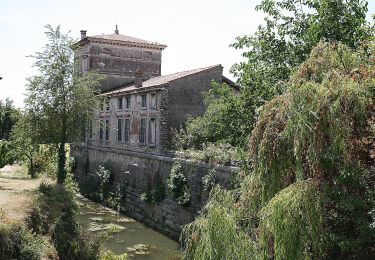 Percorso A piedi Sarego - Sentiero dei Monti di Meledo - Photo