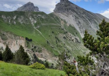 Randonnée Marche Saint-Julien-en-Beauchêne - grand et petit chamousset - Photo