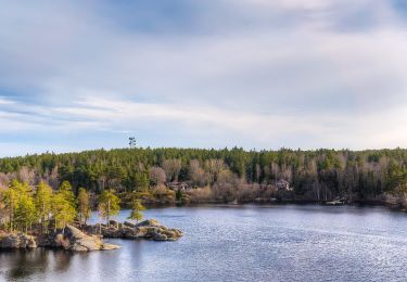 Tocht Te voet  - Grönfinken 10 km - Photo