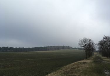 Percorso A piedi Zossen - Weinberg Rundweg - Photo