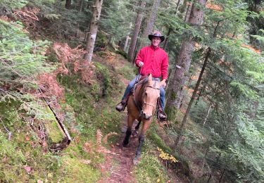 Tour Reiten Raon-l'Étape - L trouche pluie tout petit tour  - Photo