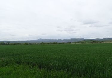 Tocht Stappen Riom - RIOM (Saint Bonnet-près-Riom) - Photo