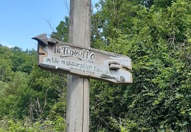 Trail On foot Dinant - Balade vers La Flobette - Photo