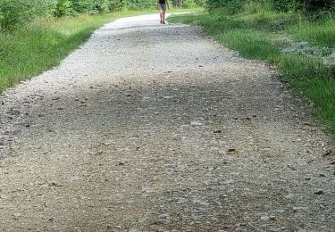 Trail Walking Vouthon-Haut - sur les chemins d'Isabelle partiel les Roises  - Photo
